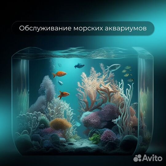 Изготовление морских аквариумов