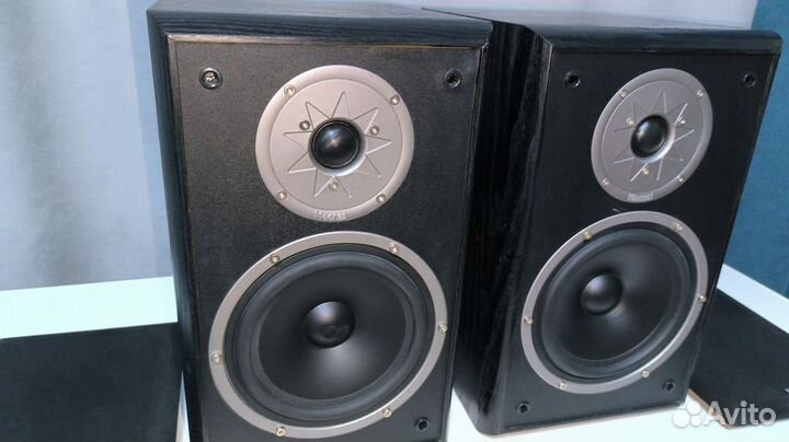 Большие полочные Magnat