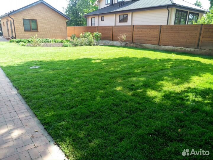 Посевной газон под ключ