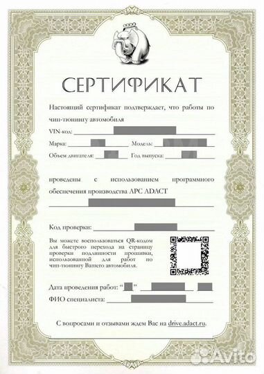 Чип-тюнинг от Adact, диагностика инжектора
