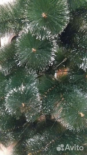Сосна новогодняя 