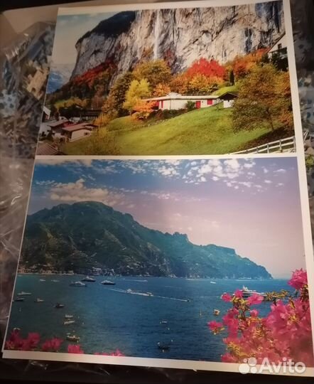 Пазлы 10 в 1 trefl