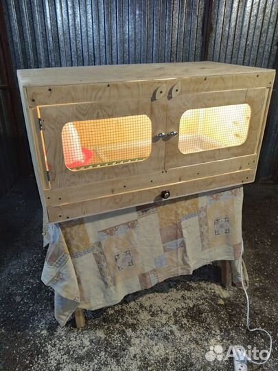 Брудер для цыплят