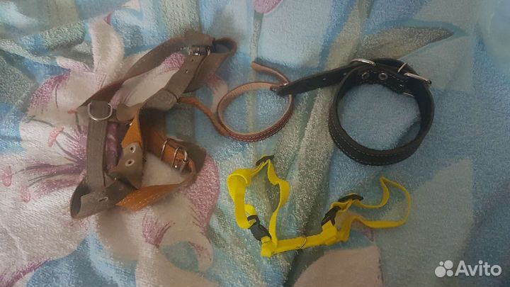 Поводок,намордник, ошейник