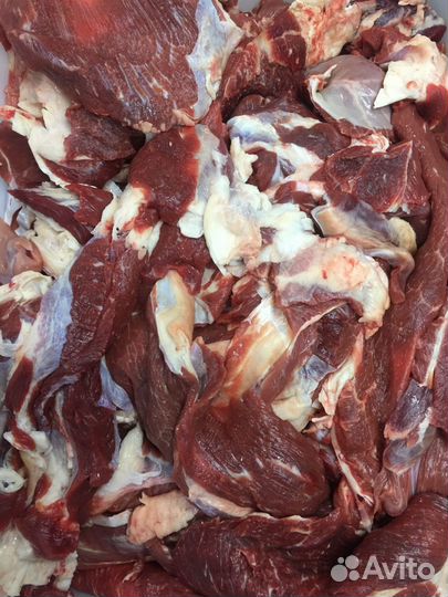 Мясо говядина