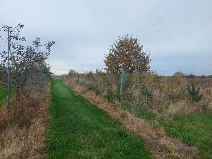 Участок 11,6 га (СНТ, ДНП)