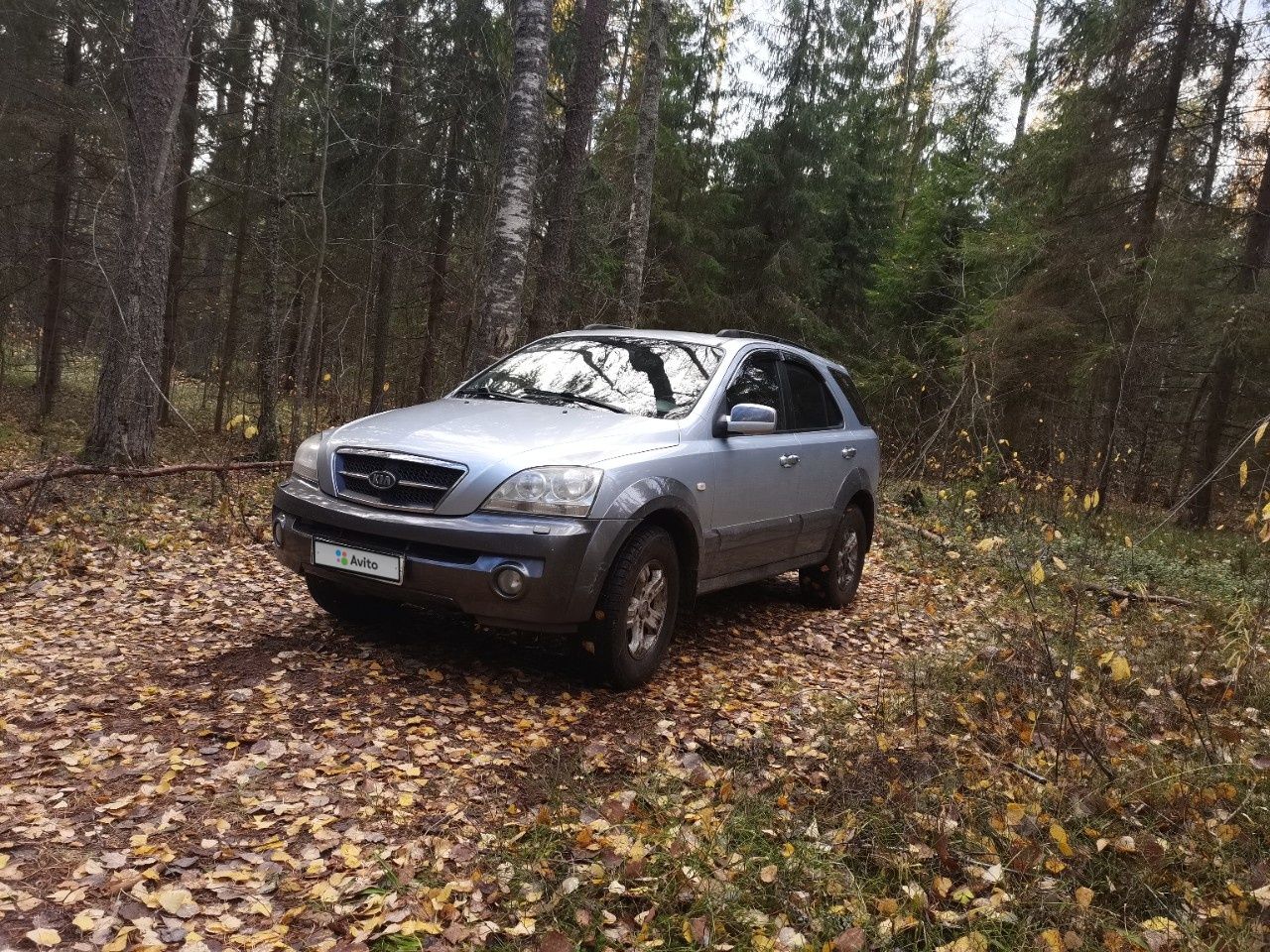 Kia Sorento: фото владельца