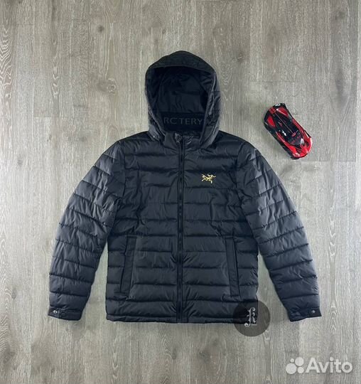 Куртка весенняя arcteryx