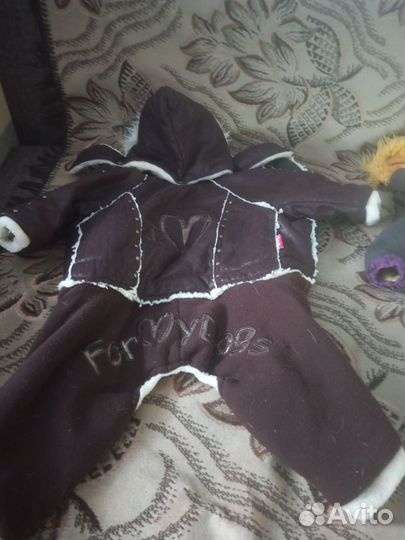 Зимняя одежда для собак