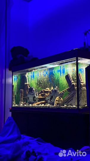 Аквариум с тумбой 500 литров и фильтр