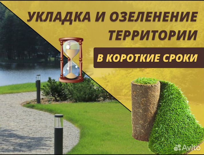 Газон рулонный