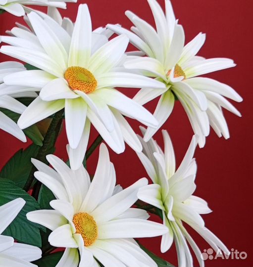 Силиконовый Вайнер 