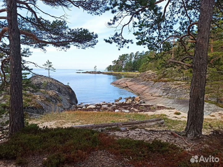 Кий остров г. Онега