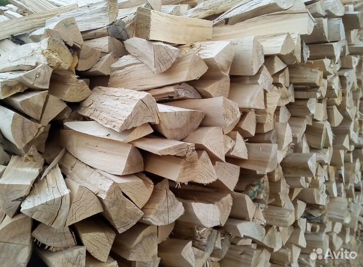 Дрова береза