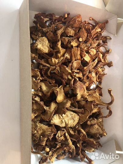 Сушеные грибы белые, подосиновики и лисички