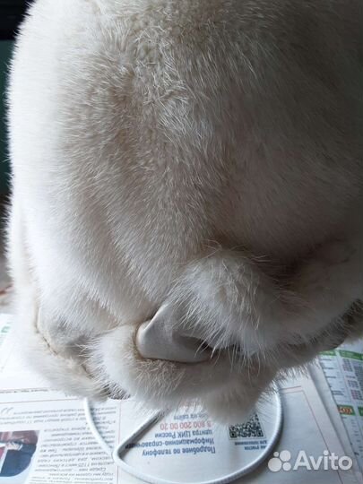 Шляпка из белой норки