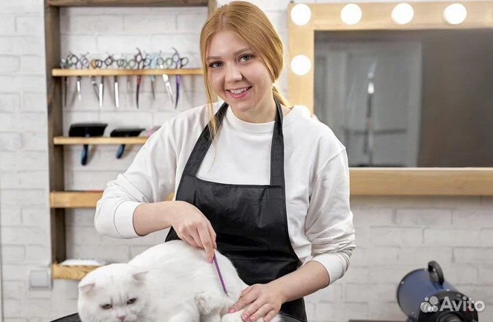 Стрижка собак и кошек.Озонотерапия SPA для собак