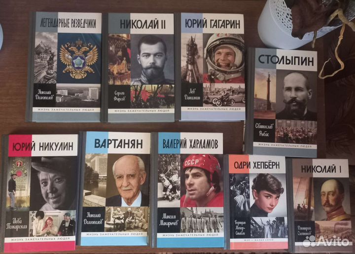 Книги жзл современные