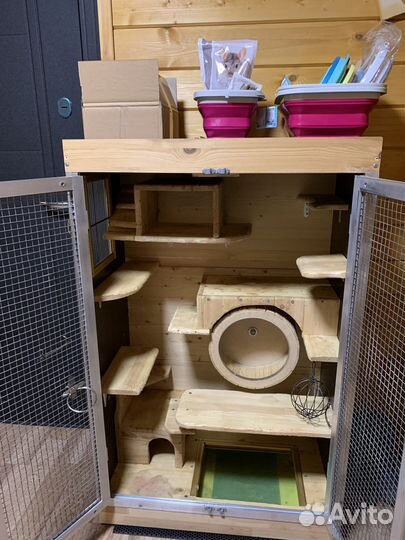 Витрина для шиншилл