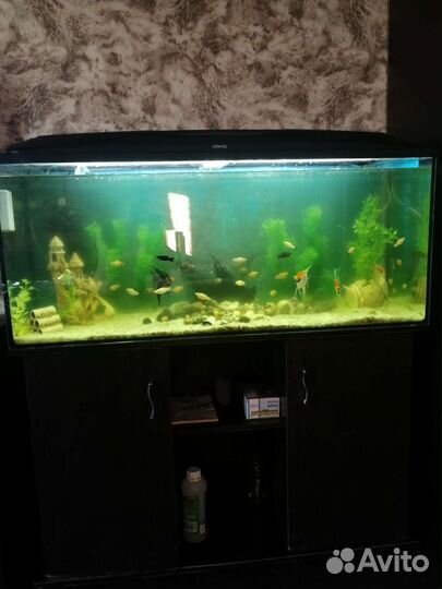 Аквариум с тумбой 240 л