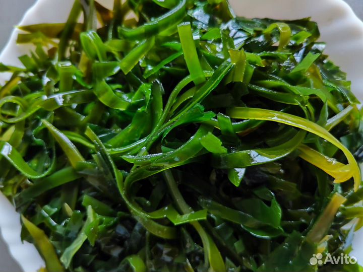 Продаю сублимированную морскую капусту