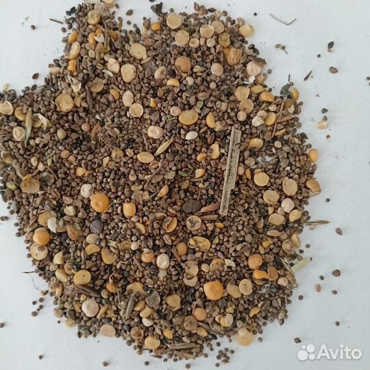 Продаем зернортходы