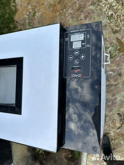 Перепелиная ферма