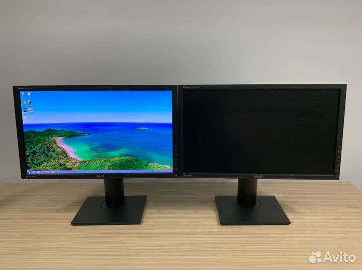 Монитор asus ProArt PA238Q 20 шт