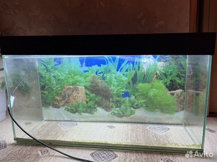 Аквариум