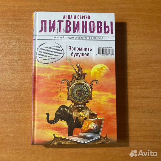 Детективы: Вспомнить будущее, Литвиновы А. и С
