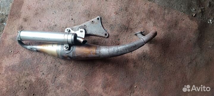 Выхлопная труба rekord giannelli