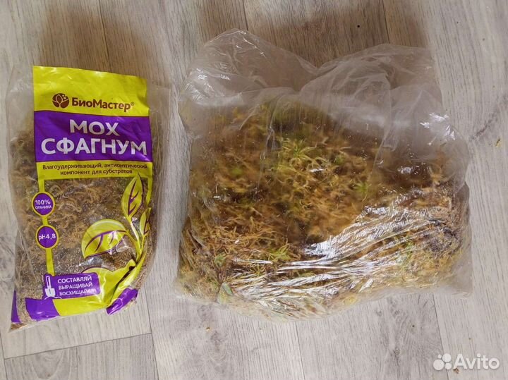 Мох Сфагнум живой. Торф Агробалт -С