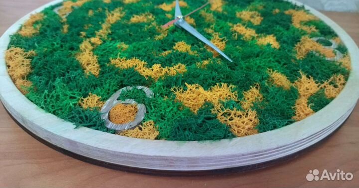 Часы настенные со стабилизированным мхом