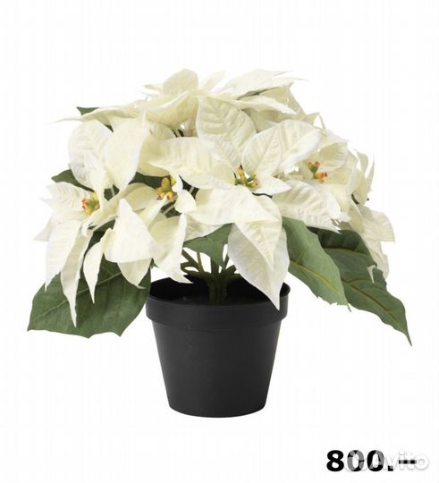 Новогодние искусственные растения икеа