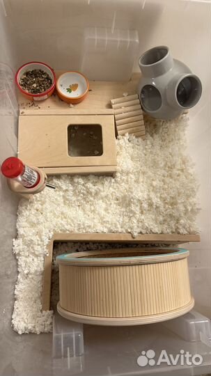 Конт рокс бокс