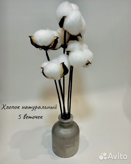 Сухоцветы. Отправка из Краснодара