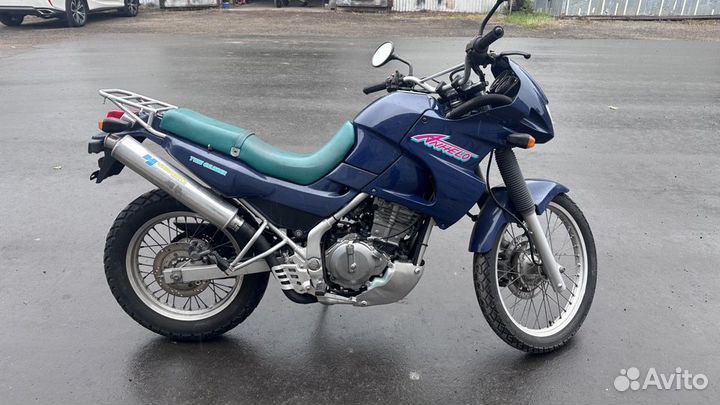 Kawasaki KLE 250