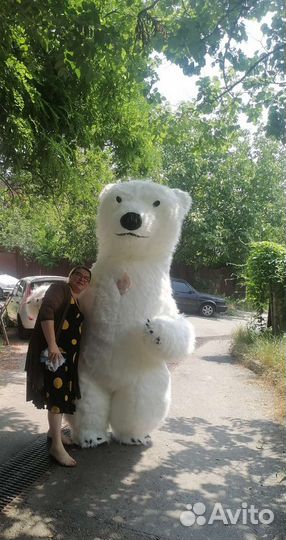 Белый мишка поздравление