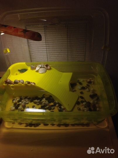 Террариум для черепахи