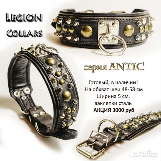 Ошейники для собак Legion Collars