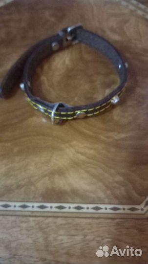 Ошейник для собак