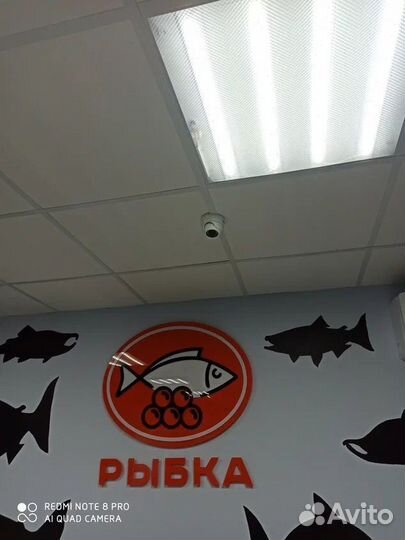 Интернет оборудование в загородный дом / сад