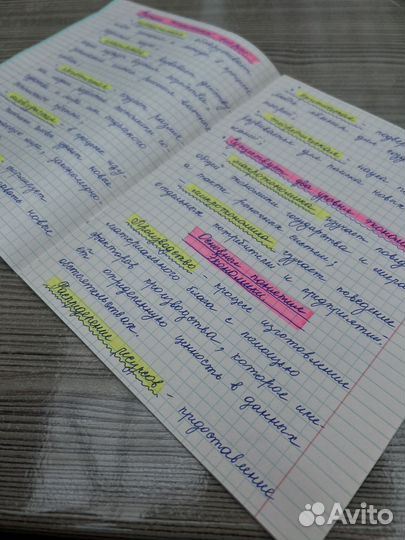 Перепишу лекции. Набор текста в Ворд