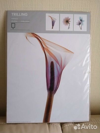 Набор из 3х постеров