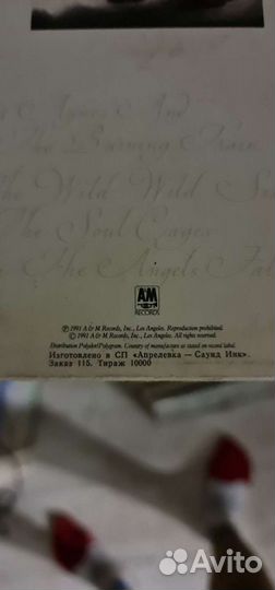 Виниловые пластинки LP