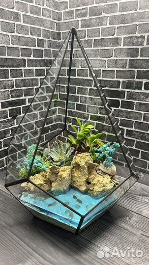 Флорариум подарок цветы
