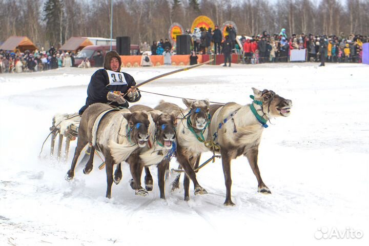 Фотосъемка