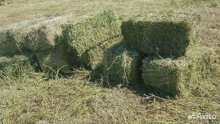 Сено в тюках