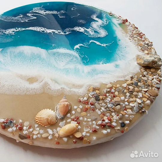 Набор морских ракушек