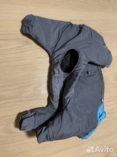 Одежда для собак